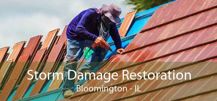 Storm Damage Restoration Bloomington - IL