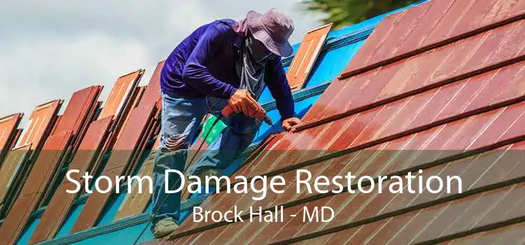 Storm Damage Restoration Brock Hall - MD