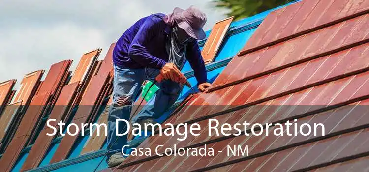 Storm Damage Restoration Casa Colorada - NM