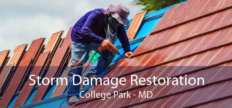 Storm Damage Restoration College Park - MD