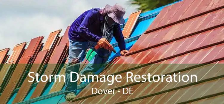 Storm Damage Restoration Dover - DE