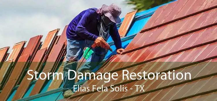 Storm Damage Restoration Elias Fela Solis - TX