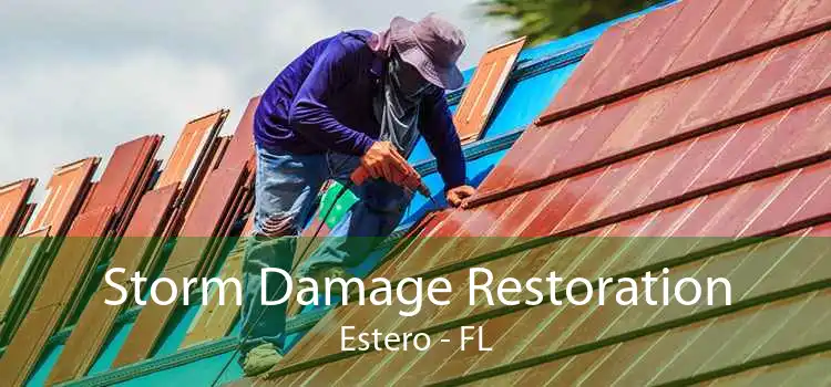 Storm Damage Restoration Estero - FL