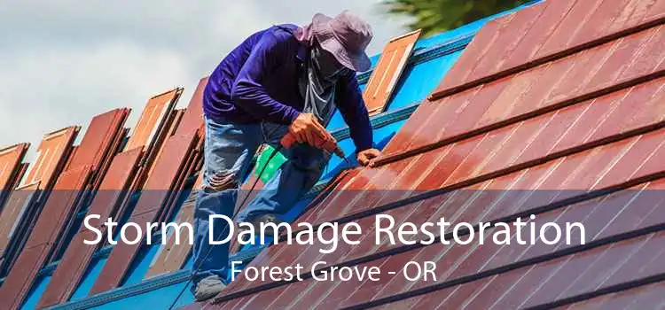 Storm Damage Restoration Forest Grove - OR