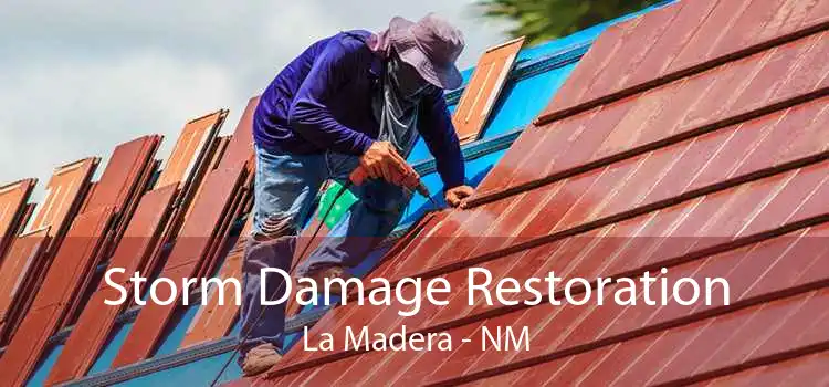 Storm Damage Restoration La Madera - NM