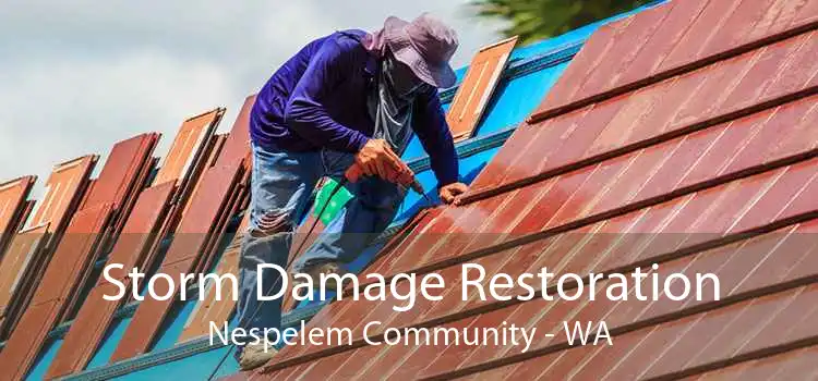 Storm Damage Restoration Nespelem Community - WA