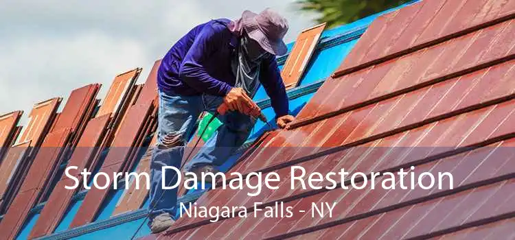 Storm Damage Restoration Niagara Falls - NY