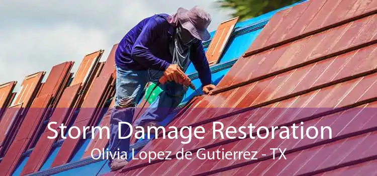 Storm Damage Restoration Olivia Lopez de Gutierrez - TX