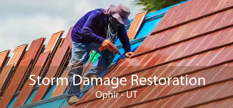 Storm Damage Restoration Ophir - UT