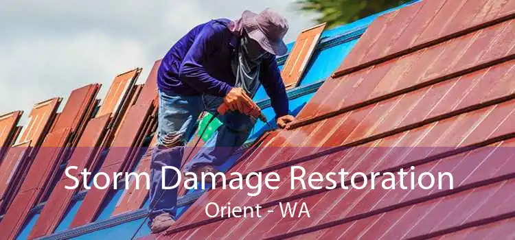 Storm Damage Restoration Orient - WA