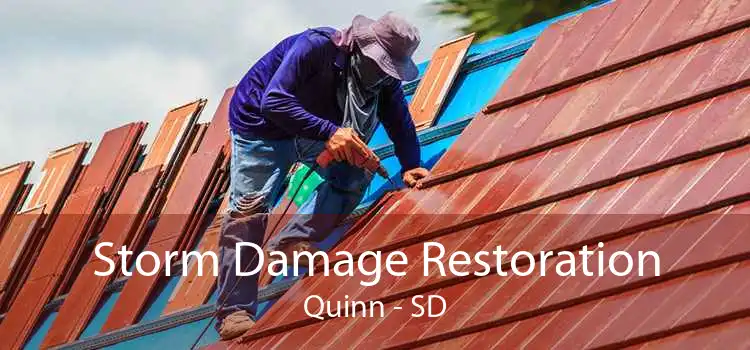 Storm Damage Restoration Quinn - SD