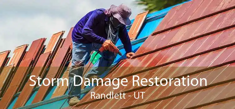 Storm Damage Restoration Randlett - UT