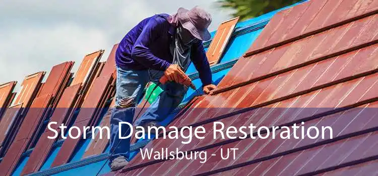 Storm Damage Restoration Wallsburg - UT