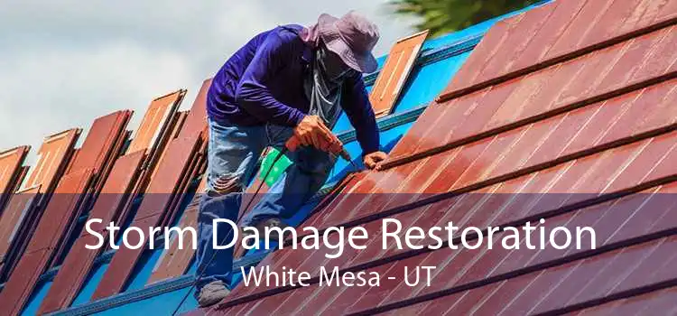 Storm Damage Restoration White Mesa - UT