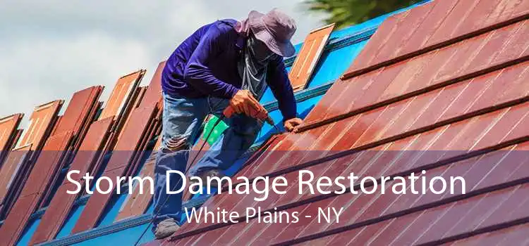 Storm Damage Restoration White Plains - NY