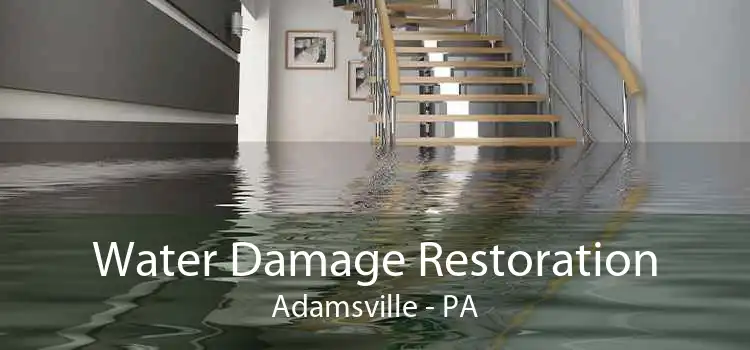 Water Damage Restoration Adamsville - PA