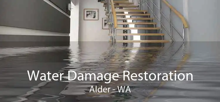 Water Damage Restoration Alder - WA
