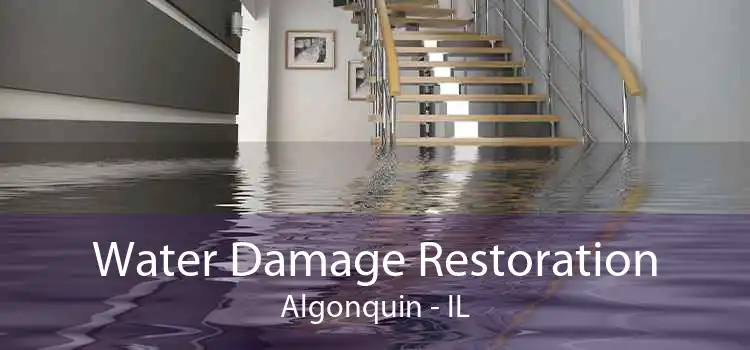 Water Damage Restoration Algonquin - IL