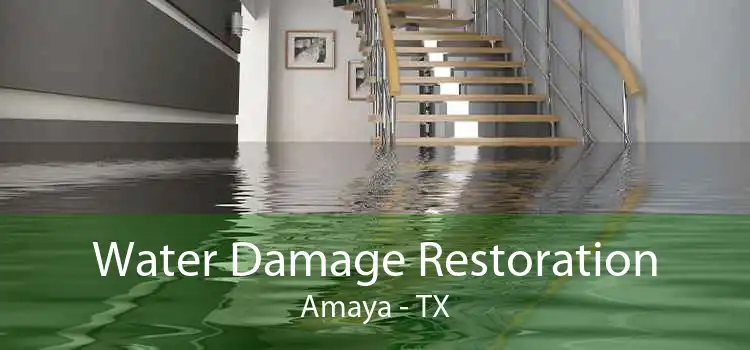 Water Damage Restoration Amaya - TX