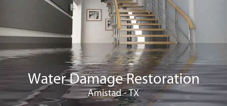 Water Damage Restoration Amistad - TX