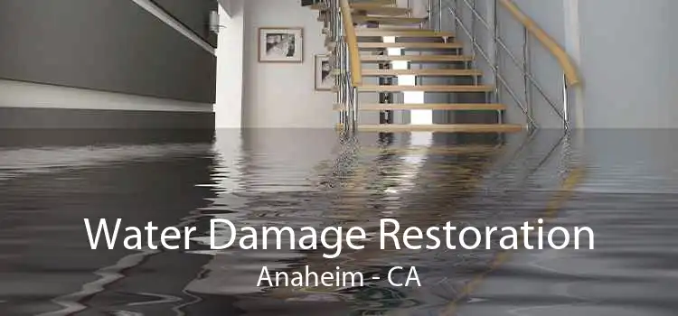 Water Damage Restoration Anaheim - CA