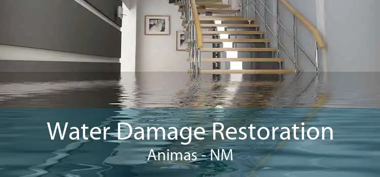 Water Damage Restoration Animas - NM