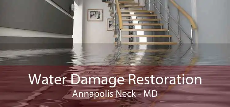 Water Damage Restoration Annapolis Neck - MD