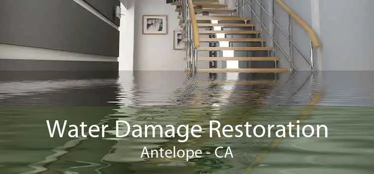 Water Damage Restoration Antelope - CA