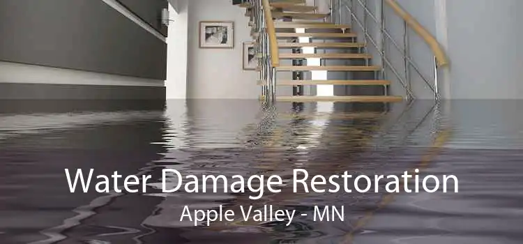 Water Damage Restoration Apple Valley - MN