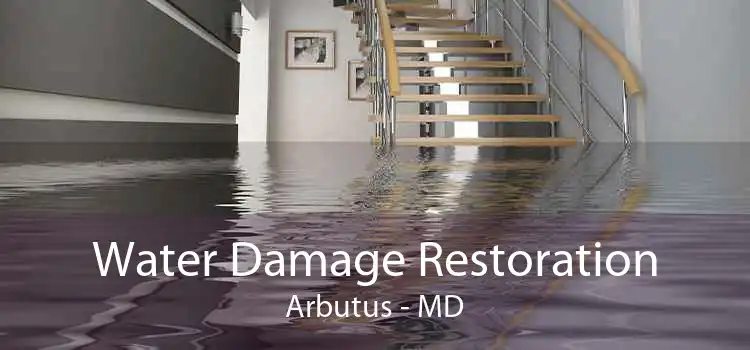 Water Damage Restoration Arbutus - MD