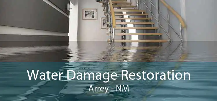 Water Damage Restoration Arrey - NM