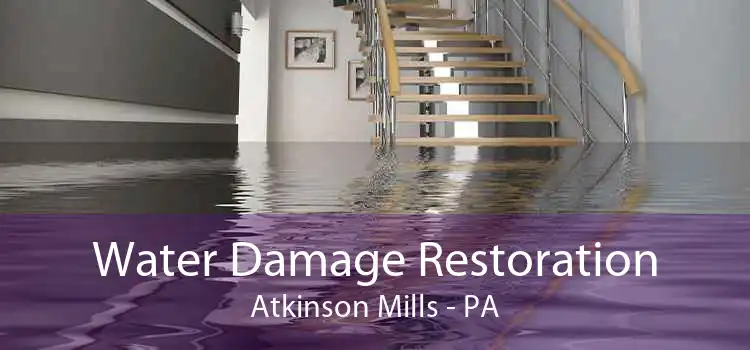 Water Damage Restoration Atkinson Mills - PA