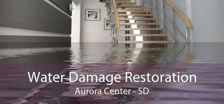 Water Damage Restoration Aurora Center - SD
