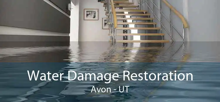 Water Damage Restoration Avon - UT