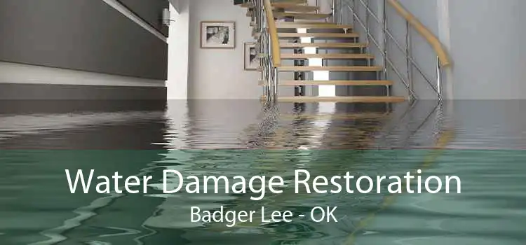 Water Damage Restoration Badger Lee - OK