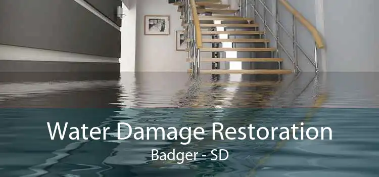 Water Damage Restoration Badger - SD