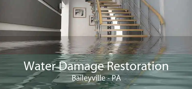 Water Damage Restoration Baileyville - PA