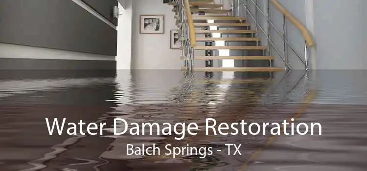 Water Damage Restoration Balch Springs - TX