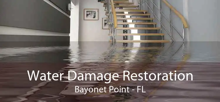 Water Damage Restoration Bayonet Point - FL