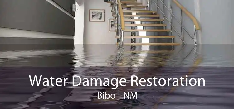 Water Damage Restoration Bibo - NM