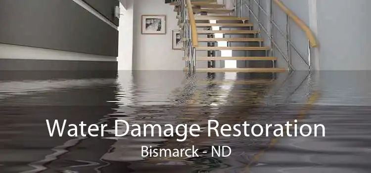 Water Damage Restoration Bismarck - ND