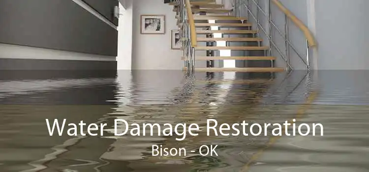 Water Damage Restoration Bison - OK