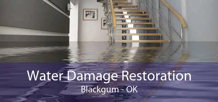 Water Damage Restoration Blackgum - OK