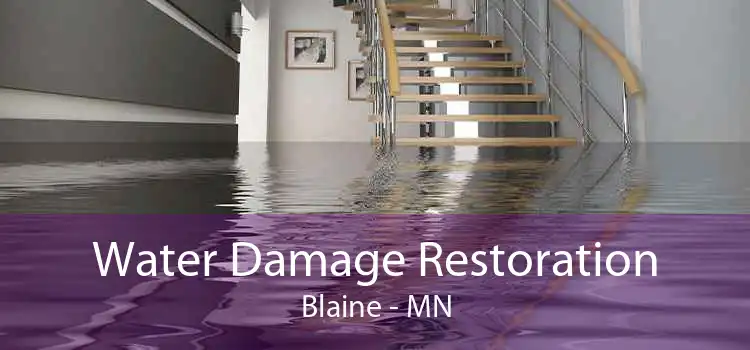 Water Damage Restoration Blaine - MN