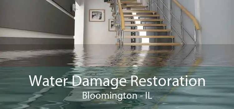 Water Damage Restoration Bloomington - IL