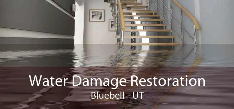 Water Damage Restoration Bluebell - UT
