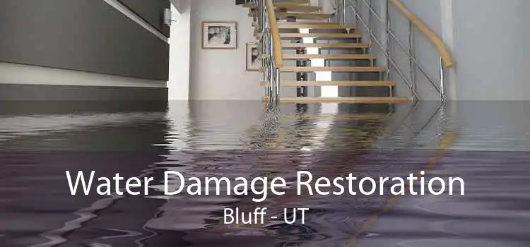 Water Damage Restoration Bluff - UT