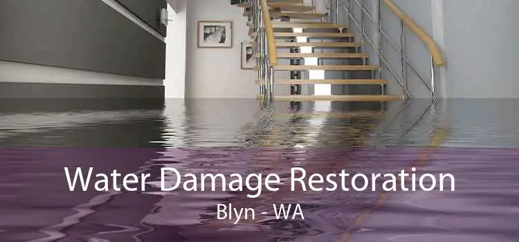 Water Damage Restoration Blyn - WA