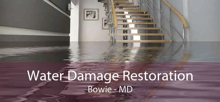 Water Damage Restoration Bowie - MD