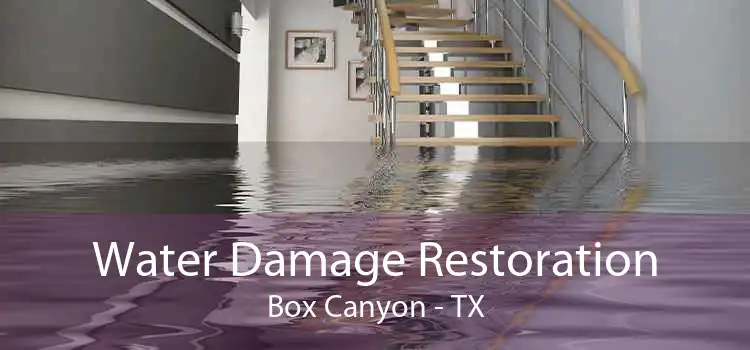 Water Damage Restoration Box Canyon - TX